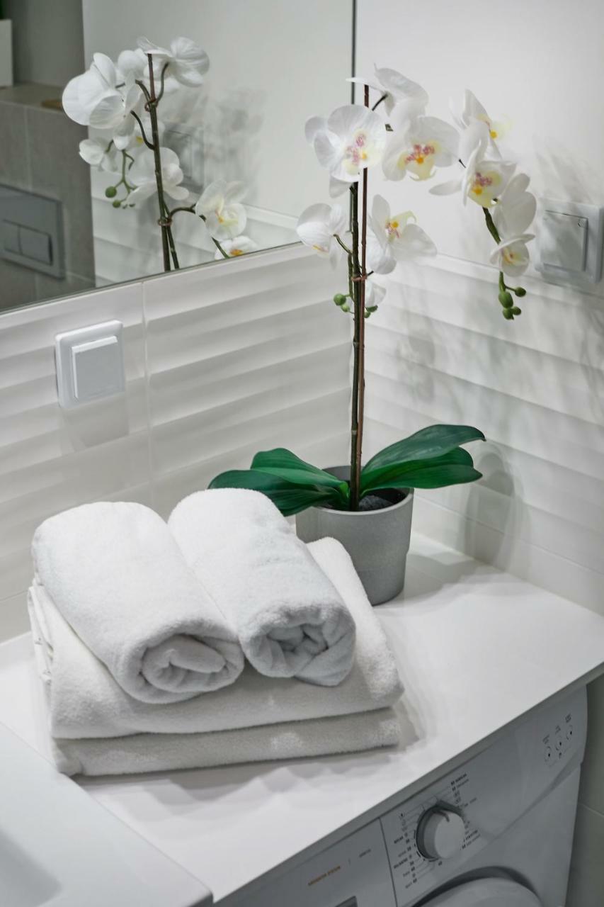 Praga Elegant Studio وارسو المظهر الخارجي الصورة